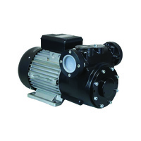 Piusi 240V Vane Pump - 191LPM