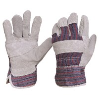 Candy Stripe Leather Palm Gloves (Cotton Backed)