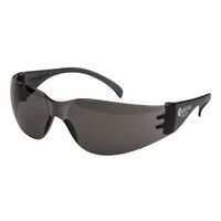 Ace Safety Specs (Clear)