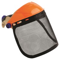 Browguard w/ Mesh Visor