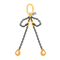 Grade 80 Double Leg Sling w/ Clevis Sling Hook (5.5t WLL) - 10mm x 6m