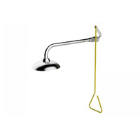 Emergency Wall Mounted Hand Operated Deluge Shower - Stainless Steel Finish