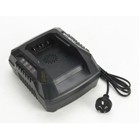 Hyundai 40V Charger