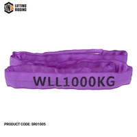 LINQ Polyester Round Sling - 1t