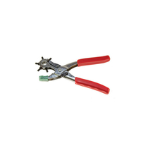 Maintenance Punch